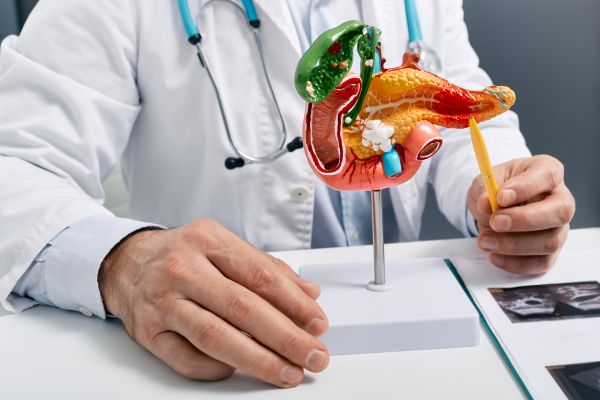 doctor showing disease on model of pancreas